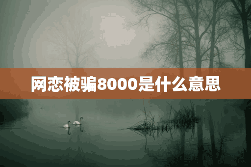 网恋被骗8000是什么意思(网恋被骗八千)